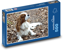 Kavalír v podzimním listí Puzzle 500 dílků - 46 x 30 cm