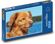 Dog Puzzle of 500 pieces - 46 x 30 cm 