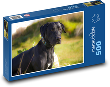 Černý pes v trávě Puzzle 500 dílků - 46 x 30 cm