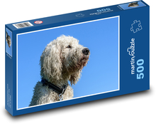 Weißer lockiger Hund in blauem Himmel Puzzle 500 Teile - 46 x 30 cm