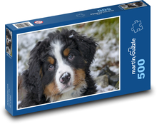 Roztomilé štěně bernského salašnického psa Puzzle 500 dílků - 46 x 30 cm