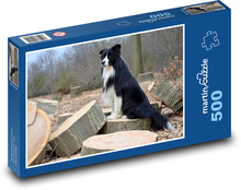 Collie graniczne w lesie Puzzle 500 elementów - 46x30 cm