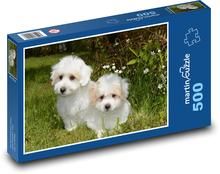 Dve šteniatka v tráve, Coton de Tulear Puzzle 500 dielikov - 46 x 30 cm 