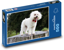 Roztomilý bílý pudl s mašlí Puzzle 500 dílků - 46 x 30 cm