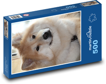 Cute furry dog Puzzle of 500 pieces - 46 x 30 cm 