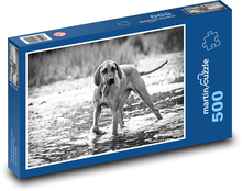 Hund Puzzle 500 Teile - 46 x 30 cm