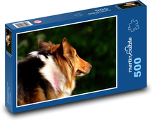 Portret psa o zachodzie słońca, Collie Puzzle 500 elementów - 46x30 cm