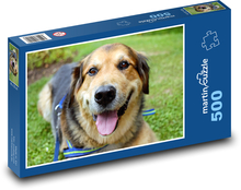 Psí úsmev Puzzle 500 dielikov - 46 x 30 cm 