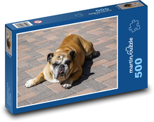 Chladnejší pes, americký buldog Puzzle 500 dielikov - 46 x 30 cm