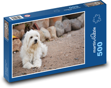 Bílý chlupatý pes na dvorku Puzzle 500 dílků - 46 x 30 cm