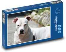 Bílý strážce, pitbull  Puzzle 500 dílků - 46 x 30 cm