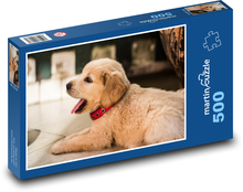 Little treasure, cute retriever puppy Puzzle of 500 pieces - 46 x 30 cm 
