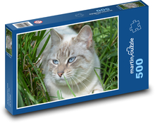 Light cat with blue eyes in grass Puzzle of 500 pieces - 46 x 30 cm 