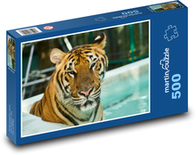 Tiger vo vode Puzzle 500 dielikov - 46 x 30 cm 