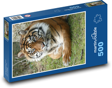 Vigilant Tiger Puzzle of 500 pieces - 46 x 30 cm