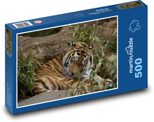 Friedlicher Tiger in der Natur Puzzle 500 Teile - 46 x 30 cm