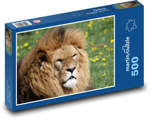 Majestátny lev v tráve Puzzle 500 dielikov - 46 x 30 cm 