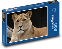 Ostražitá lvice v přírodě Puzzle 500 dílků - 46 x 30 cm