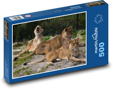 Savannah lioness at rest Puzzle of 500 pieces - 46 x 30 cm