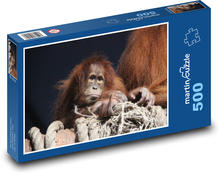 Orangutan na kłodzie z linami Puzzle 500 elementów - 46x30 cm