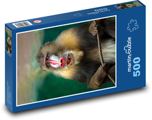 Egzotyczna małpa mandryl Puzzle 500 elementów - 46x30 cm