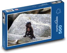 Curious baby monkey Puzzle of 500 pieces - 46 x 30 cm 