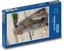 Makakowata małpa z łańcuchem na szyi Puzzle 500 elementów - 46x30 cm