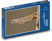 Erdmännchen auf Wache Puzzle 500 Teile - 46 x 30 cm