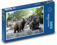 Medvede hnedé v ZOO Puzzle 500 dielikov - 46 x 30 cm 