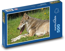 Vlk odpočívajúci na lúke Puzzle 500 dielikov - 46 x 30 cm 