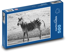 Striped zebra walking in water Puzzle of 500 pieces - 46 x 30 cm 
