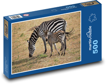 Zebra Puzzle 500 dílků - 46 x 30 cm