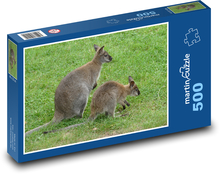 Klokan s mládětem Puzzle 500 dílků - 46 x 30 cm