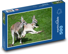Kangaroo Puzzle of 500 pieces - 46 x 30 cm 