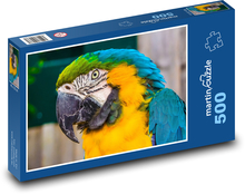 Blau-gelber Ara, Nahaufnahme eines Papageis Puzzle 500 Teile - 46 x 30 cm