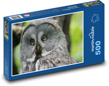 Puštík, sova v lese Puzzle 500 dielikov - 46 x 30 cm