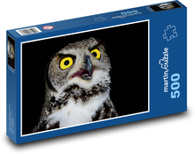 Yellow-eyed owl Puzzle of 500 pieces - 46 x 30 cm