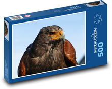 Orel skalní, portrét dravce Puzzle 500 - 46x30 cm