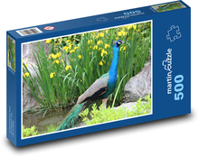 Páv na břehu rybníka Puzzle 500 dílků - 46 x 30 cm