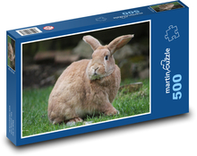Hnědý králík sedící na louce Puzzle 500 dílků - 46 x 30 cm