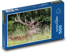 Majestätische Hirsche im Gras Puzzle 500 Teile - 46 x 30 cm