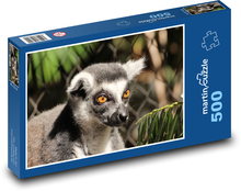 Lemur z pomarańczowymi oczami Puzzle 500 elementów - 46x30 cm