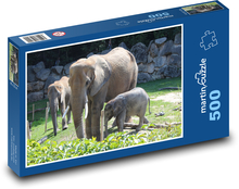 Sloní rodinka v ohradě v zoo Puzzle 500 dílků - 46 x 30 cm