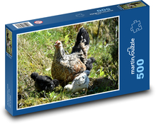 Kurčatá a malé kurčatá v tráve Puzzle 500 dielikov - 46 x 30 cm 