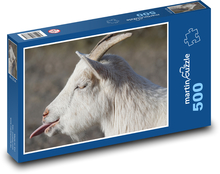 Weiße Ziege mit herausragender Zunge Puzzle 500 Teile - 46 x 30 cm