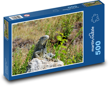 Iguana resting on a stone Puzzle of 500 pieces - 46 x 30 cm