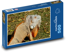 Legwan z ogromnym płatem gardłowym Puzzle 500 elementów - 46x30 cm