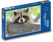 Mýval ležiaci na vetve Puzzle 500 dielikov - 46 x 30 cm 