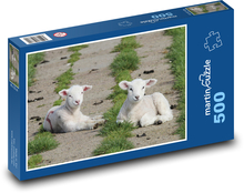Ovce - jehňata ležící na louce Puzzle 500 dílků - 46 x 30 cm