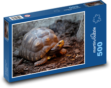 Żółw lądowy odkryty Puzzle 500 elementów - 46x30 cm